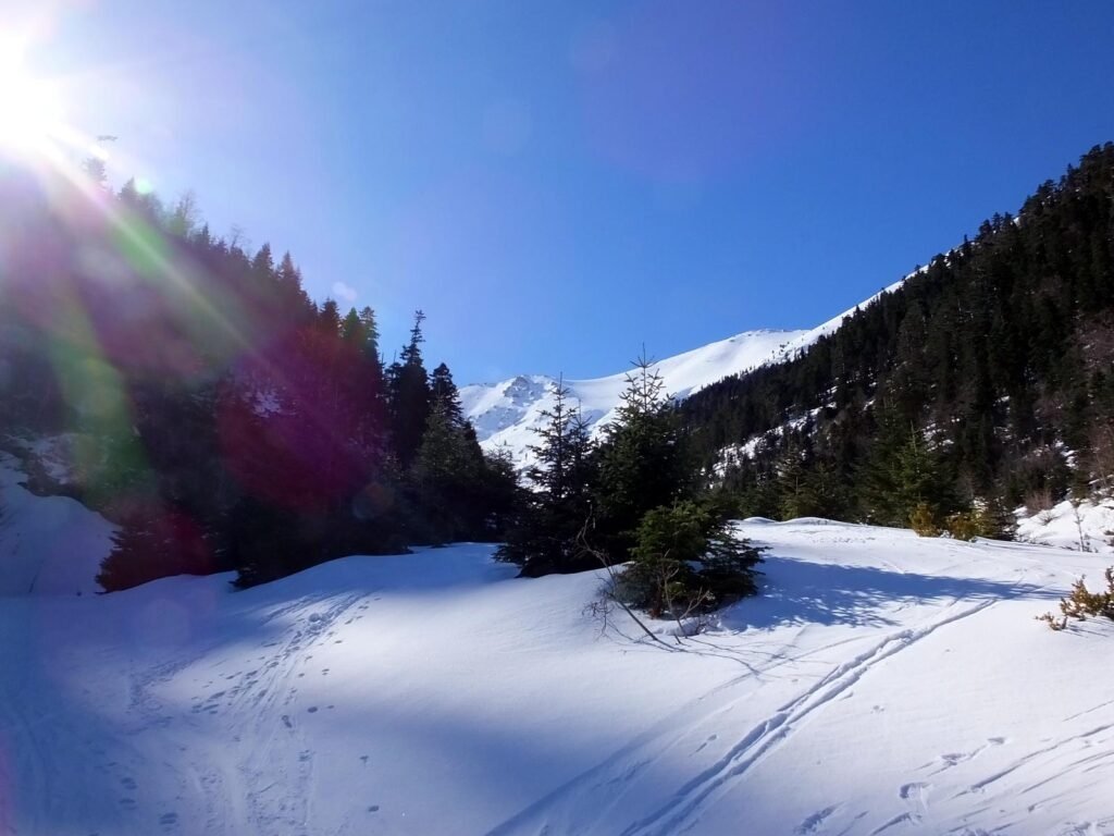 31883228Master 1 1024x768