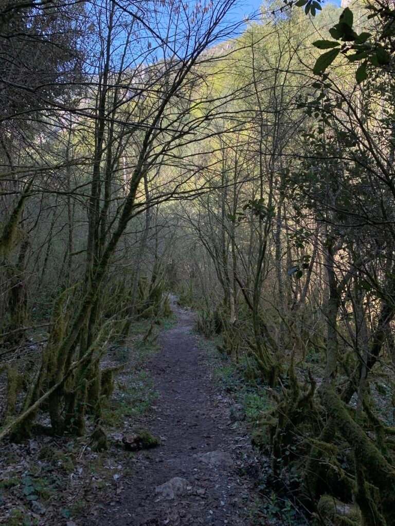 46335946Master 768x1024