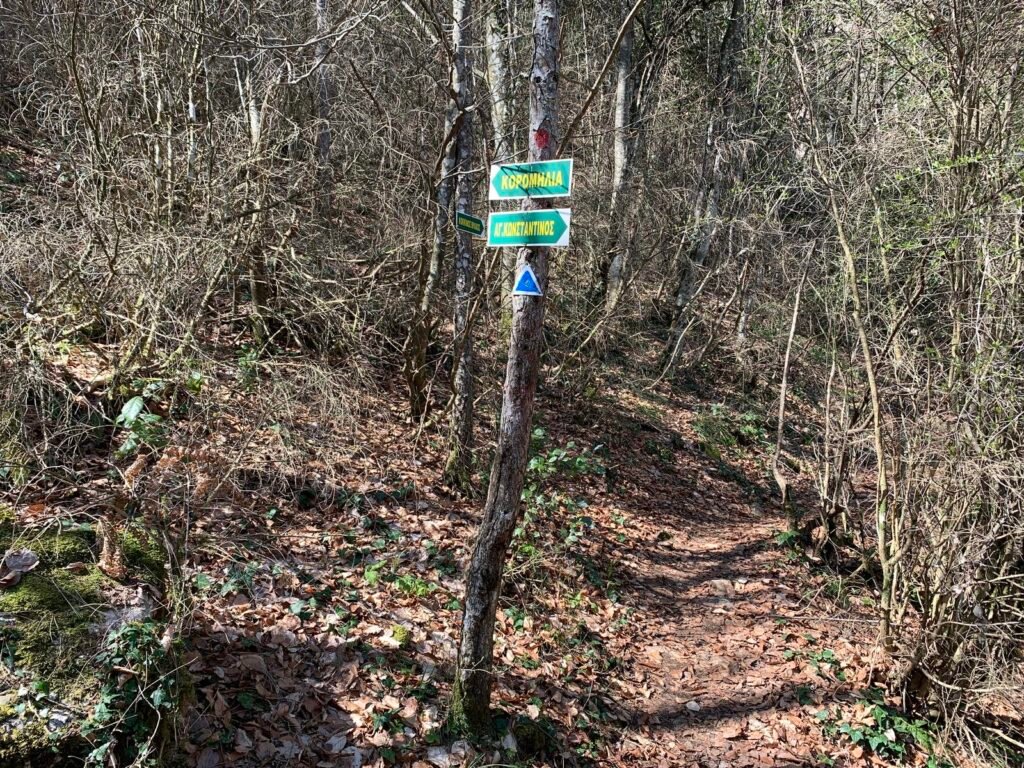 46337274Master 1024x768