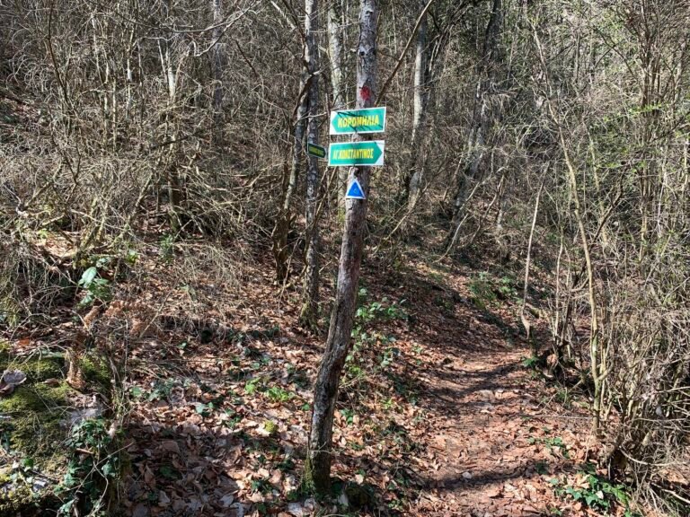 46337274Master 768x576