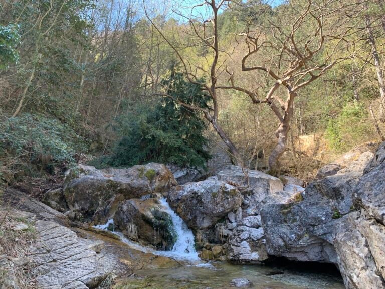 46337411Master 768x576