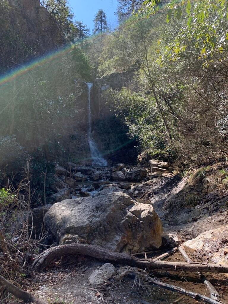 46337449Master 768x1024