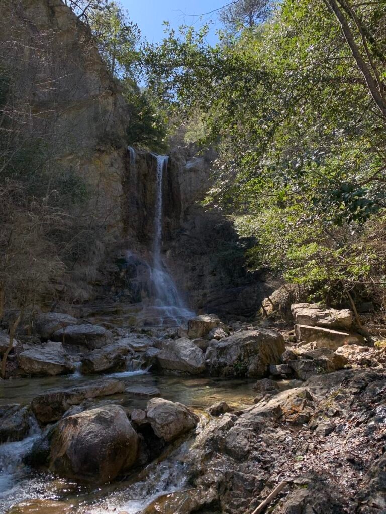 46337491Master 768x1024