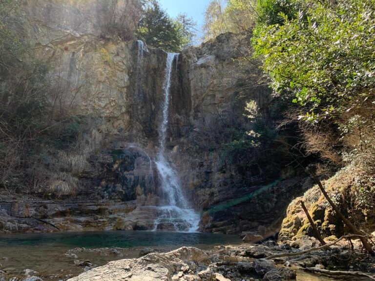 46337503Master 768x576