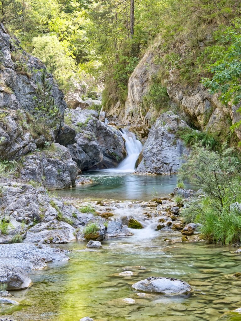 enipeas scaled 1 768x1024