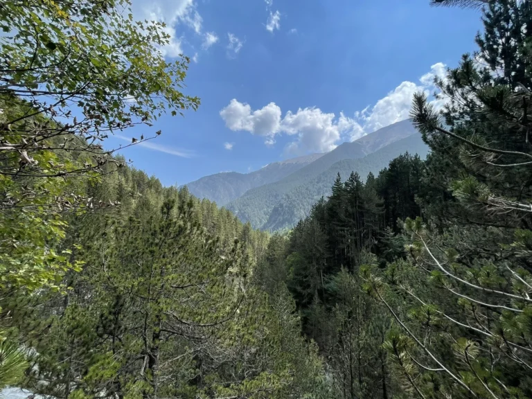 eyJidWNrZXQiOiJhc3NldHMuYWxsdHJhaWxzLmNvbSIsImtleSI6InVwbG9hZHMvcGhvdG8vaW1hZ2UvODI5ODc3ODQvMGNkMTdlNjFlNzJhYTFiMTQ3NGY2YWE1MzBiZGE5YzUuanBnIiwiZWRpdHMiOnsidG9Gb3JtYXQiOiJ3ZWJwIiwicmVzaXplIjp7IndpZHRoIjoyMDQ4LCJoZWlnaHQiOjIwNDgsImZpdCI6Iml 768x576