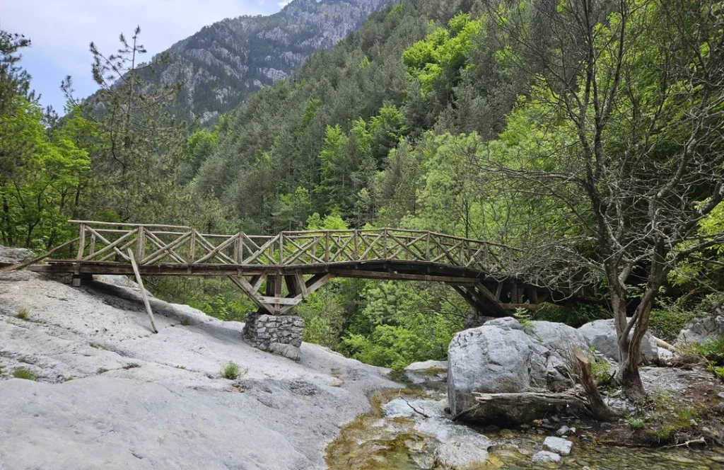 eyJidWNrZXQiOiJhc3NldHMuYWxsdHJhaWxzLmNvbSIsImtleSI6InVwbG9hZHMvcGhvdG8vaW1hZ2UvOTk5ODA3NTgvZTI0YmVhNmYwMTVhMzg1NmYyYTE5OTVkOWYwODIyMGYuanBnIiwiZWRpdHMiOnsidG9Gb3JtYXQiOiJ3ZWJwIiwicmVzaXplIjp7IndpZHRoIjoxMDgwLCJoZWlnaHQiOjcwMCwiZml0IjoiY29 1024x664