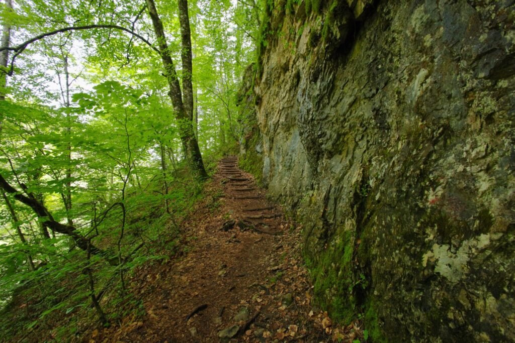 gorge enipeas 1536x1024 1 1024x683