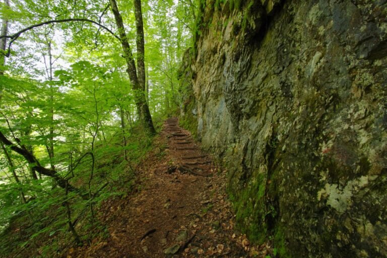 gorge enipeas 1536x1024 1 768x512