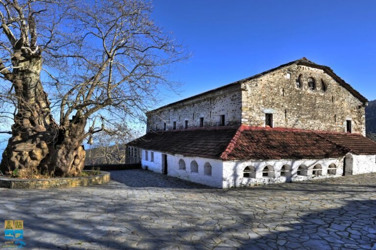 ΑΡΧΙΚΗ ΘΕΛΕΙ ΛΓΚΟ 768x511